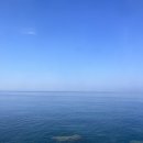 다멜로 이미지