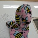 수원-0643 이미지