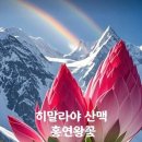 100세의료기 이미지