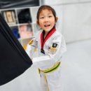 품태권도장 이미지