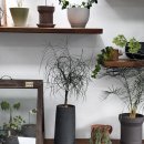 그린(61) | 식물추천 초보식집사 가볼 만한 곳 그린포레스트 솔직후기