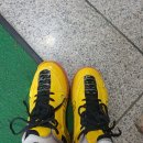 수봉공원 (실내배드민턴장) 이미지