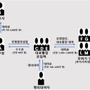 대포유통
