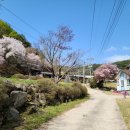 풍천사슴농장 이미지