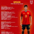 [오피셜] 스페인 국가대표팀 카타르 월드컵 명단 공개, 티아고 제외 이미지