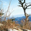 소슬바람 이미지