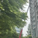 892 | [수원 포장이사업체 추천] 예스2424 경인892팀 강추!내돈내산 후기(김경미팀장, 한이팀장)