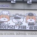 쇠뿔고개 원도심 저층주거지 재생사업 이미지