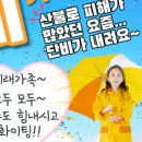 단비태권도장 이미지