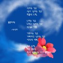 들꽃처럼 이미지