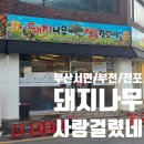 돼지나무사랑걸렸네 | [부산/서면,부전,전포] 구워주는 갈매기살 맛집 돼지나무 사랑걸렸네 서면 본점 추천 후기