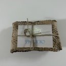 꼬물맘의 임신중기
