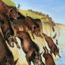 돼지가좋은세상 이미지