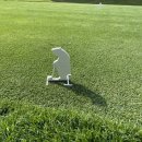 (주)신세계푸드 베어크리크gc점 그늘집3 | 라운딩 후기_베어크리크GC 크리크코스