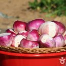 동문로 R 이미지