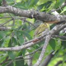 상수리PC 이미지