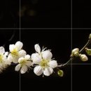 꾹스마트 이미지