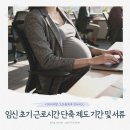 임신 초기 근로시간 단축 제도 자격 기간 및 회사 제출 서류 3분 요약