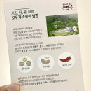 솔영농 이미지