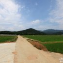 태진 농장 이미지