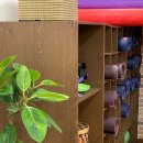 라야요가 이미지