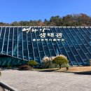 구영로L 네이버블로그