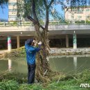 관악-현장-관악-12-10 이미지