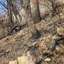 수리산역 이미지