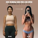 JJ 1985 이미지