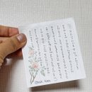 건조한 피부에 속수분을 채워주는 널리 제주 선인장 진정수분크림 솔직후기