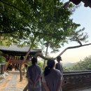 비봉길 | [서울] 속세 찌든 직장인 OFF🙏 금선사 템플스테이 체험형 1박2일 후기
