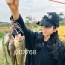 출포리 마을회관 이미지