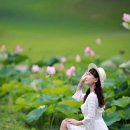 밤하늘의 별을 ...작사 강봄,작곡 강봄, 노래 경서 이미지