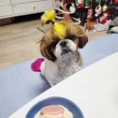 처갓집양념치킨 서동점 이미지