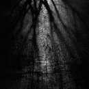 금산다락원 청산아트홀 이미지