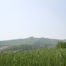 성북동5 Daum카페