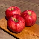 흥이많은농부 이미지