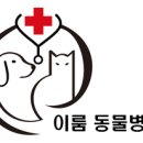 이룸외과동물병원 이미지