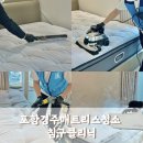 포항경주침대매트리스방문청소 대구 침구클리닉에서 건습식케어 받았어요