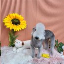 릴리줄리살롱 이미지