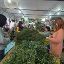 협업농장 이미지