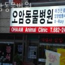 오암동물병원