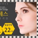 아그네스 이미지