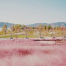 신소양체육공원 이미지