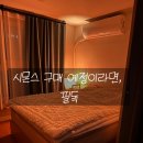인생 침대 찾았다! (feat.시몬스 침대 매트리스)