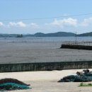 대포갯벌 이미지