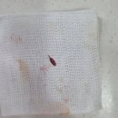 상일 쓰담쓰담 동물병원 이미지