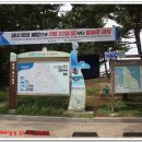 7번국도 주청리 세븐일레븐 편의점앞 횡단보도 | 해파랑길 삼척~동해 32구간 (전반부)