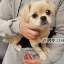 신동동물병원 이미지