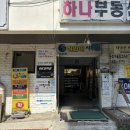 THE힘찬동물병원 | 인천 송도 원형탈모 생장술 20회 후기 : 오늘THE예쁨